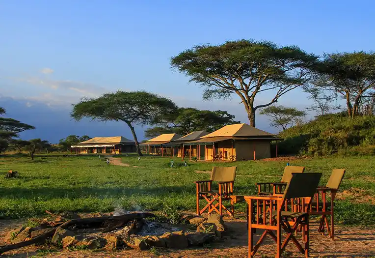 Baobab Central Serengeti Camp room