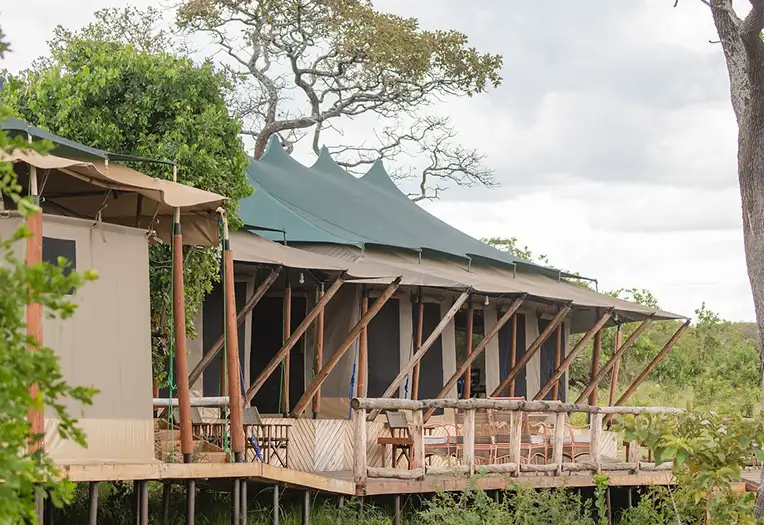 Baobab Mara Luxury Camp room