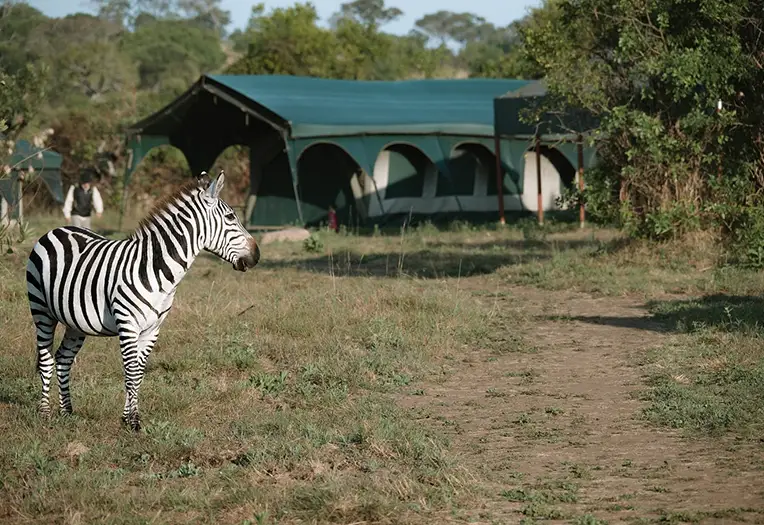 Kirurumu Migration Lodge dining