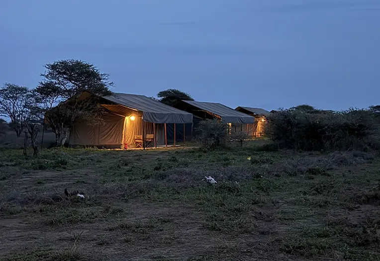 Kirurumu Serengeti Lodge room