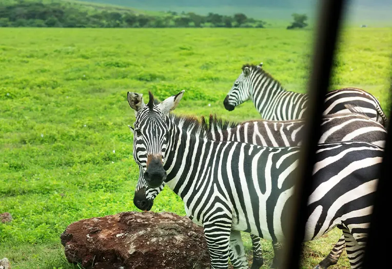 Melia Ngorongoro Lodge suite room