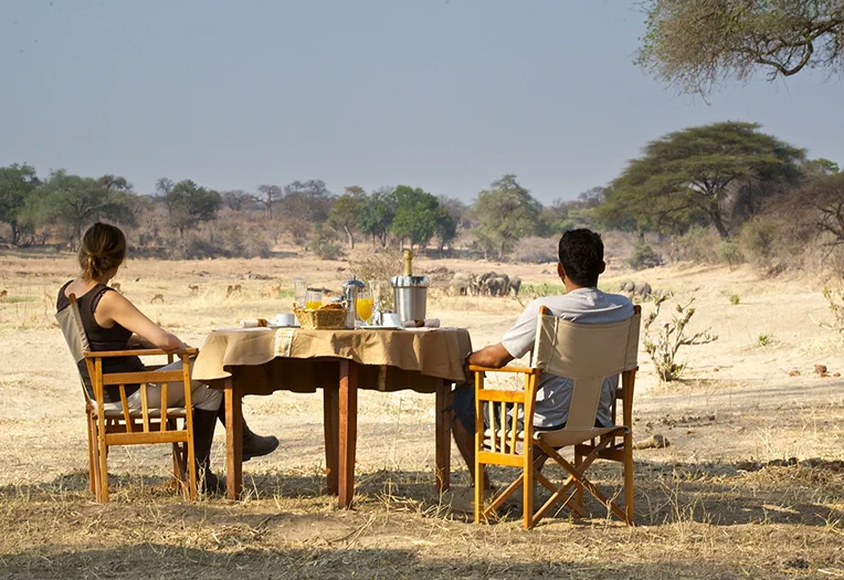 Ruaha River Lodge wildlife view