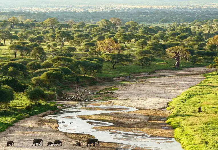 Tarangire Safari Lodge room