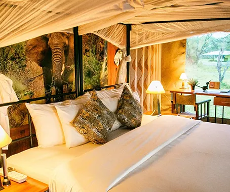 Comfortable camping accommodation in Lake Manyara and Tarangire