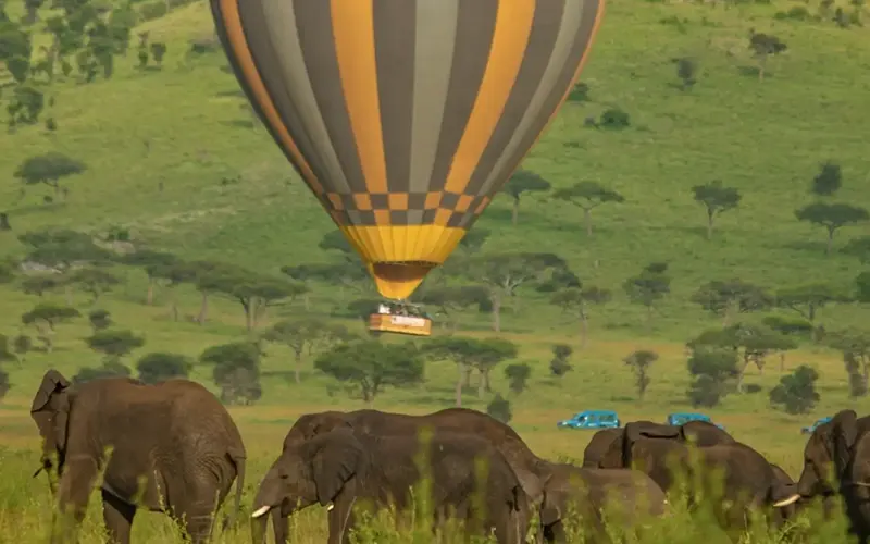 Sunrise hot air balloon drifting over Serengeti savannah