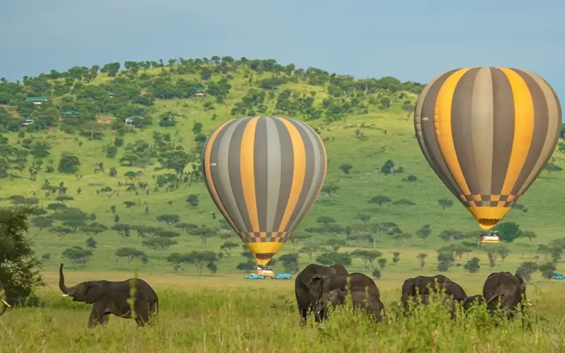 Sunrise hot air balloon drifting over Serengeti predator territories