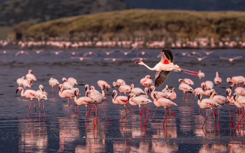 Stunning view of Lake Natron