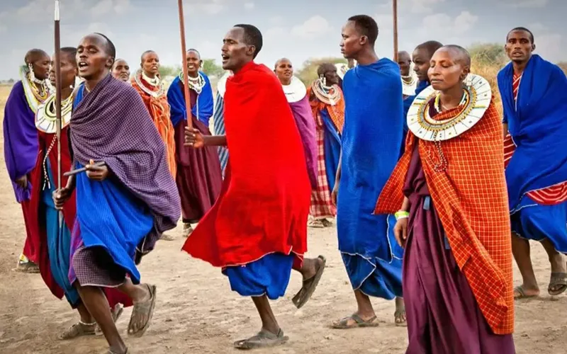 Maasai Traditional Village herding warriors