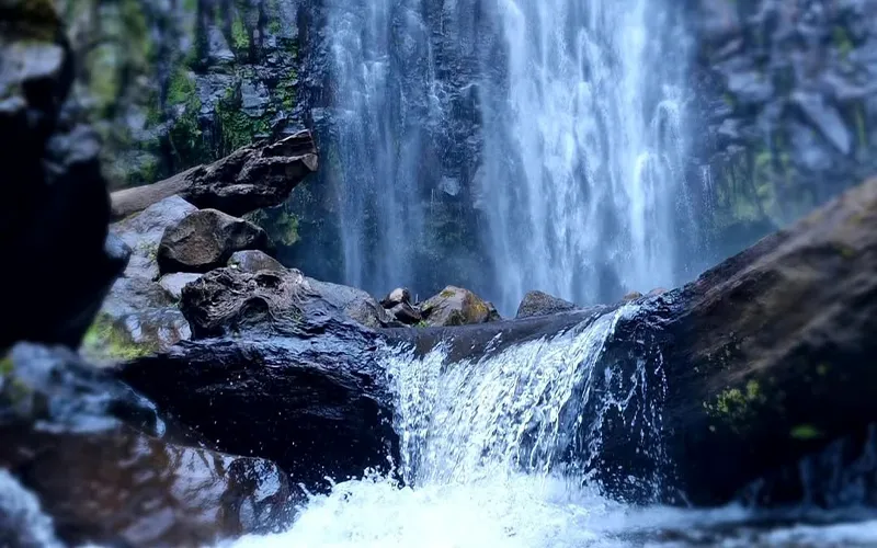 5 Days Materuni Falls to Crater Wildlife Coffee Culture and Safari Wonders