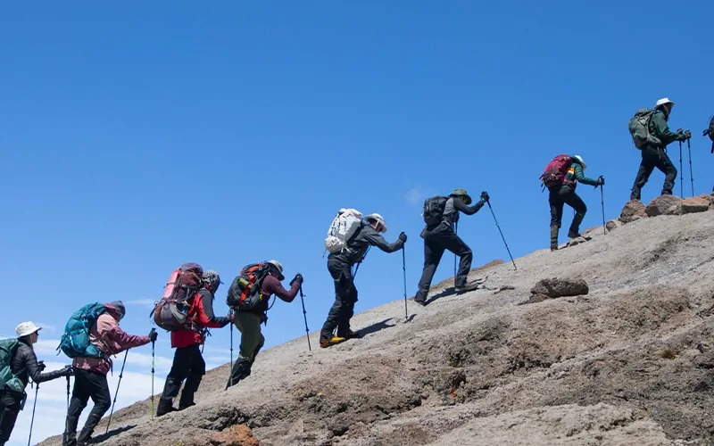 Guided hiking across Shira Plateau high moorland on Mount Kilimanjaro