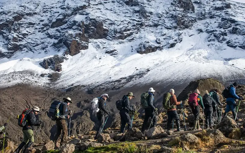 Descend past Mandara Hut to Marangu Gate for summit certificate