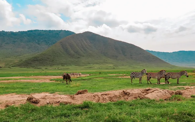 Ngorongoro Highlands Scenic Journey