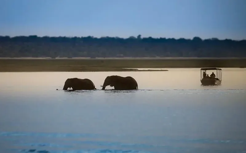Saadani Wami River Boat Cruise