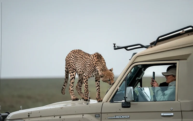 Vast endless plains of the central Serengeti