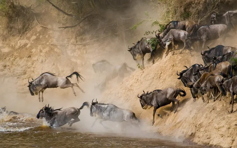 Northern Serengeti to Zanzibar Island