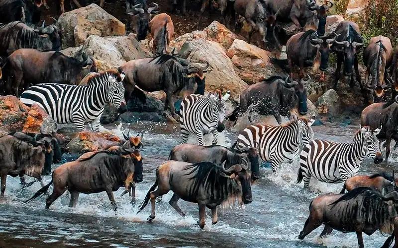 Ngorongoro Rim Lodge view