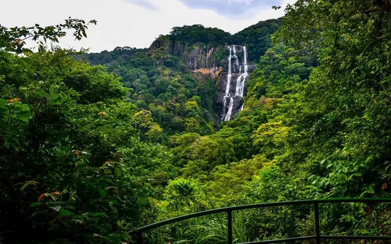 Udzungwa Mountains mist-shrouded peaks and green forest