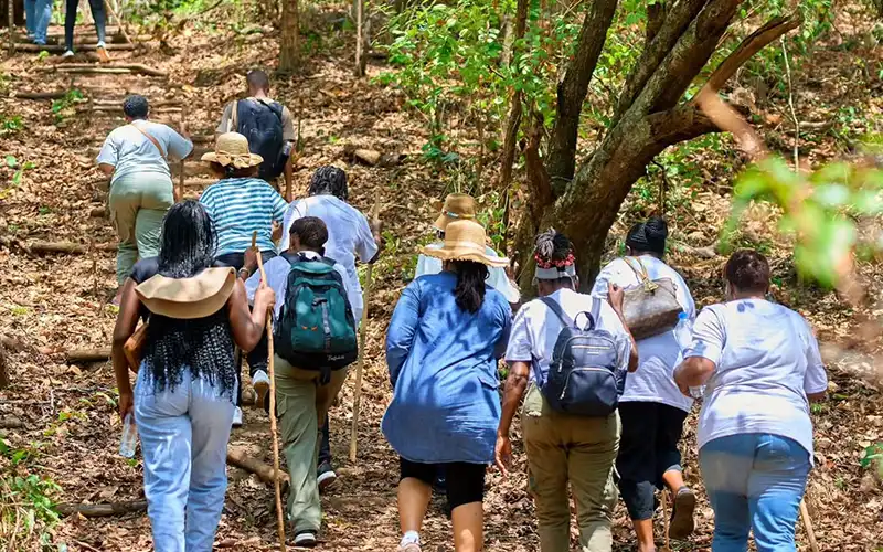 Trekking trail near waterfalls in mountain forest
