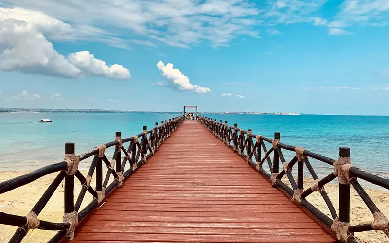 Zanzibar Beach Relaxation Experience