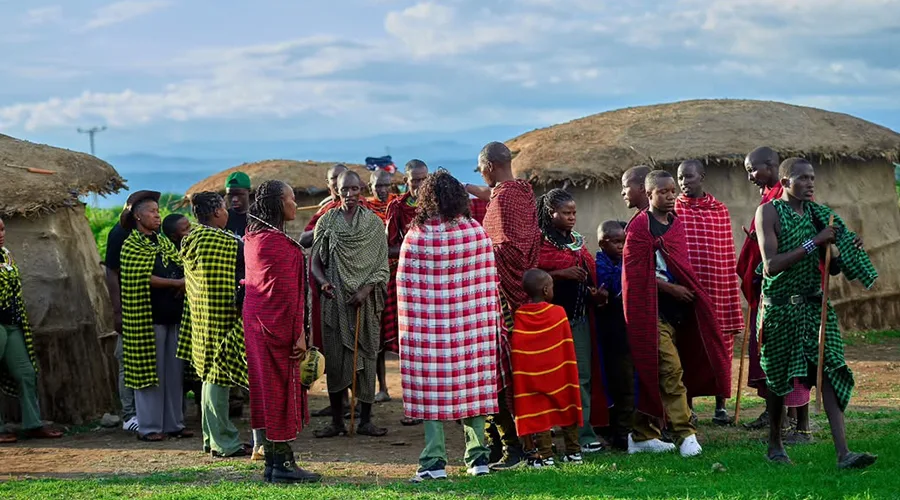 Tanzania Safari Adventure