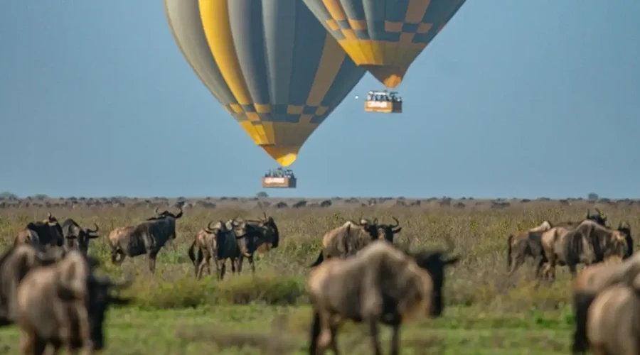 Fly-in Tarangire Serengeti