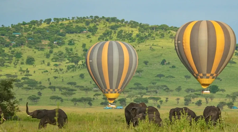 Hot-air Balloon Safari