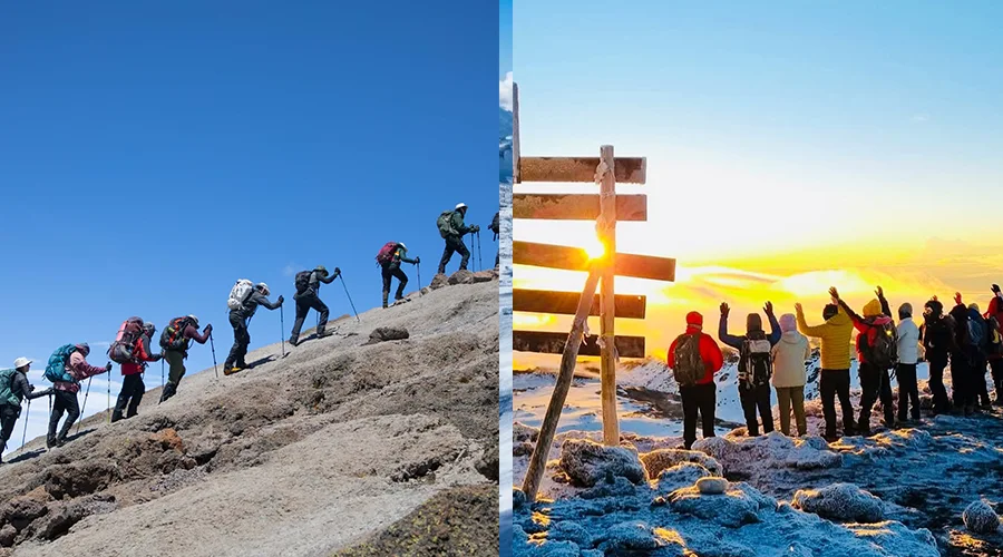 Lemosho Route Camp
