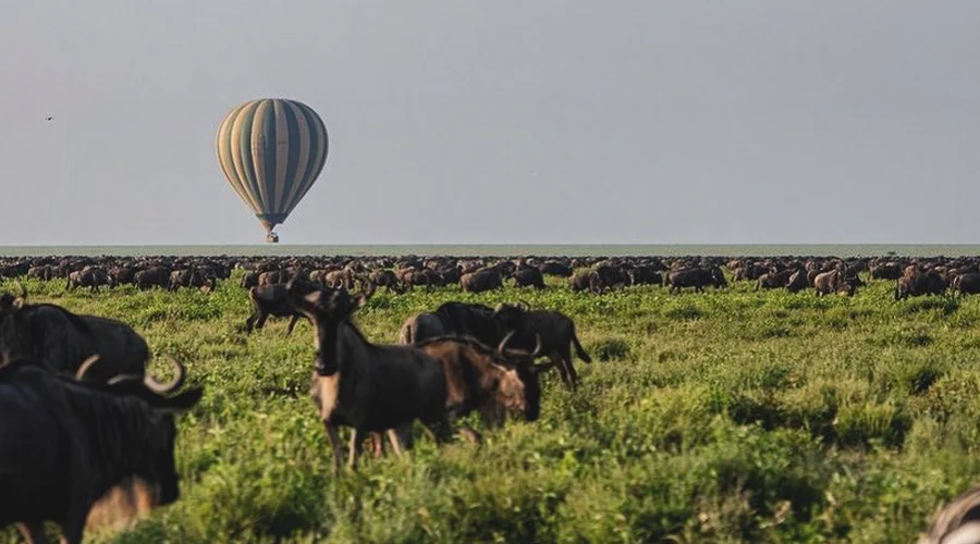 Southern Serengeti Plains