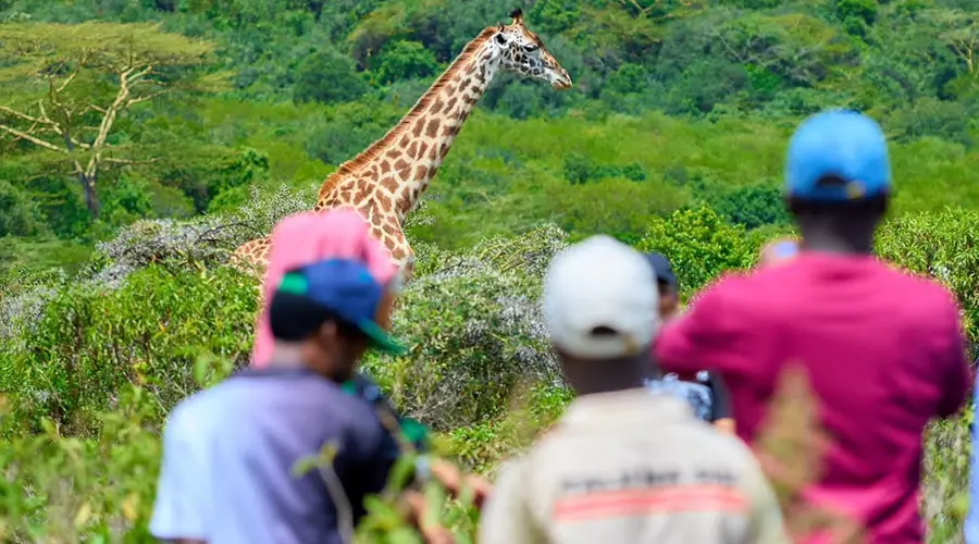 Tanzania Walking Safari