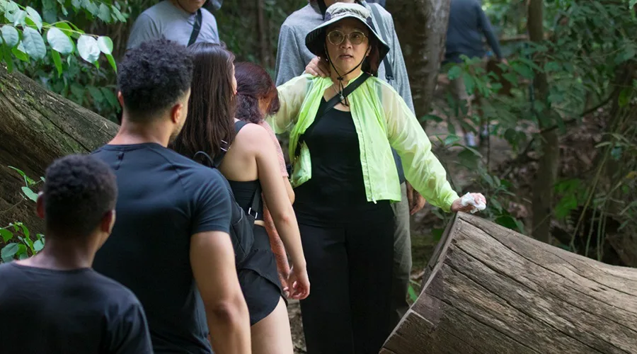 Walking Safari Activities