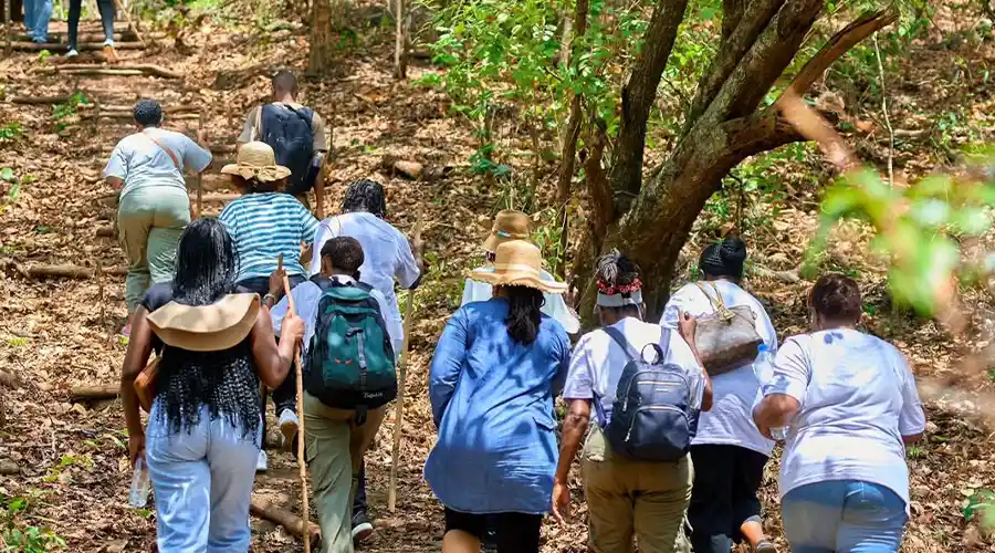 Walking Safari Discovery