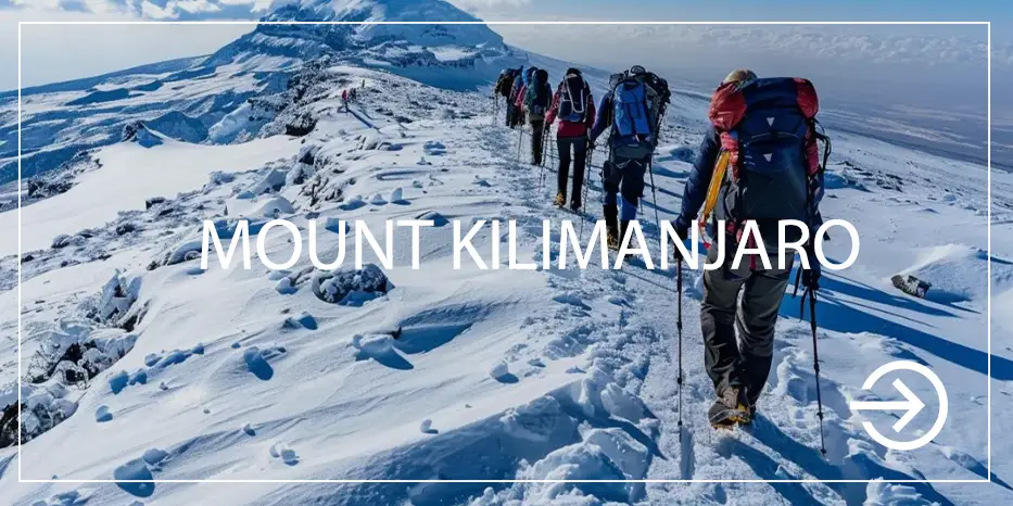 Kilimanjaro climbing packages