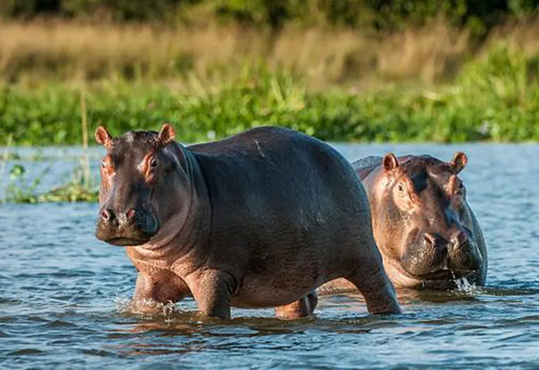 2-Day Tarangire & Ngorongoro Crater Special Departure Package
