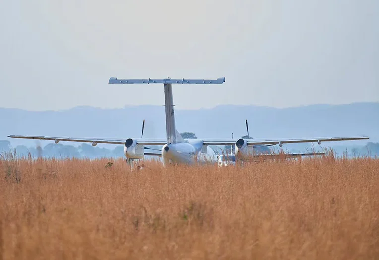 5 Days Luxury Serengeti Fly In Safari Experience