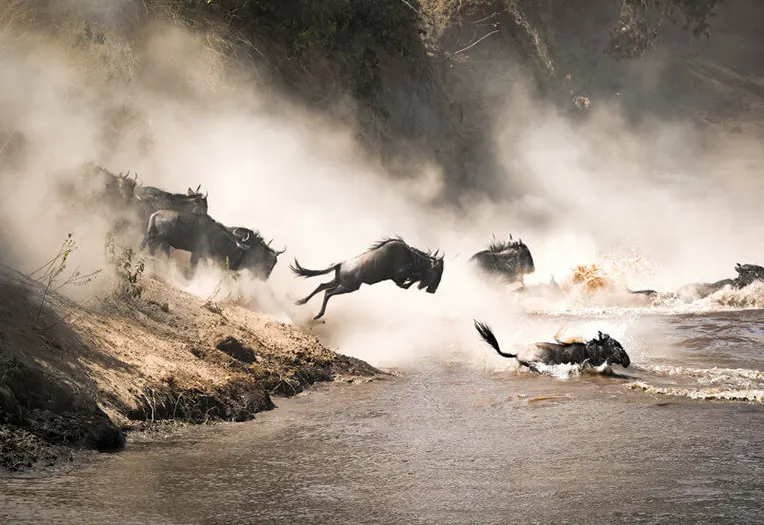 7 Days Great Migration River Crossing Safari Northern Serengeti & Ngorongoro
