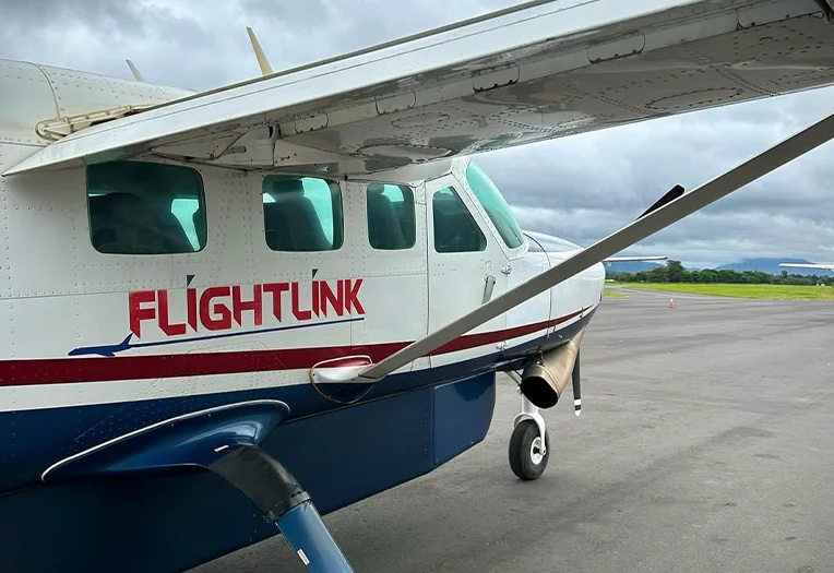 8-Day Fly-In Safari: Arusha to Seronera Wildlife Adventure