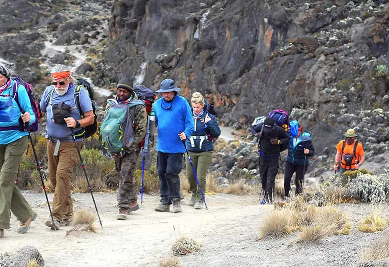 Tanzania Safari Tour