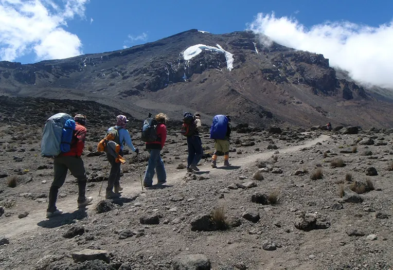 8-Days Mount Kilimanjaro Machame Route Luxury Summit Trek