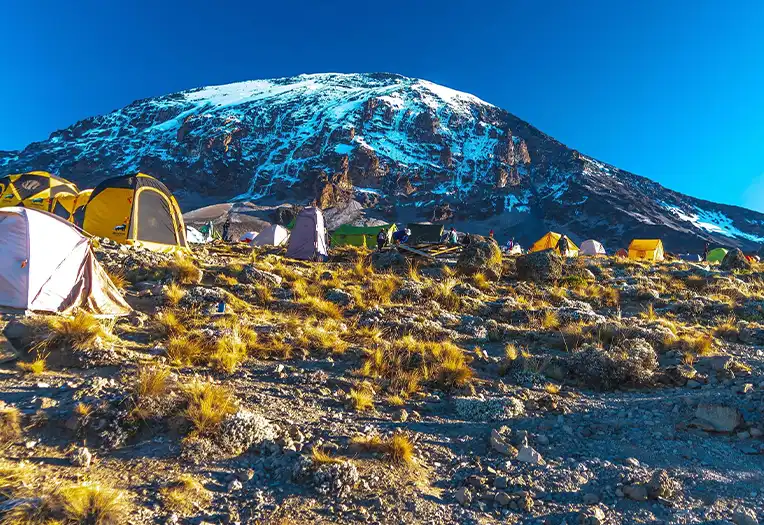 9-Days Mount Kilimanjaro Machame Route Summit Adventure