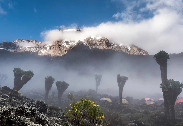 6-Day Mount Kilimanjaro Marangu Route Trekking