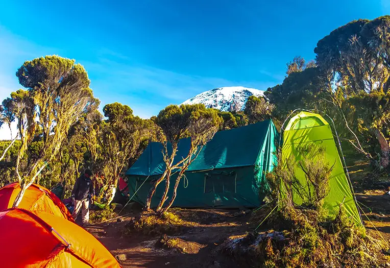 11 Day Northern Circuit Mount Kilimanjaro Trek