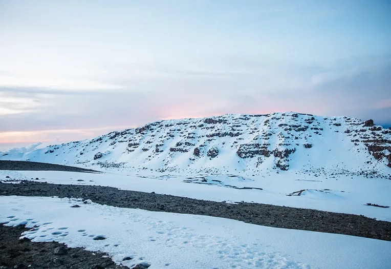 1-Day Mount Kilimanjaro Shira Plateau Hiking Experience from Arusha or Moshi