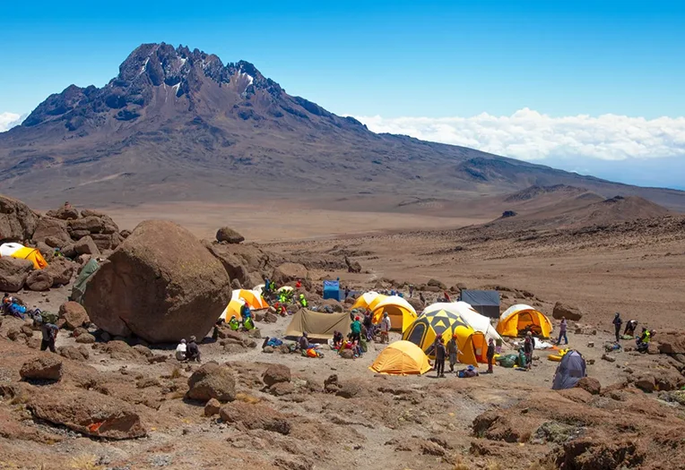 7-Day Mount Kilimanjaro Trek via the Challenging Umbwe Route
