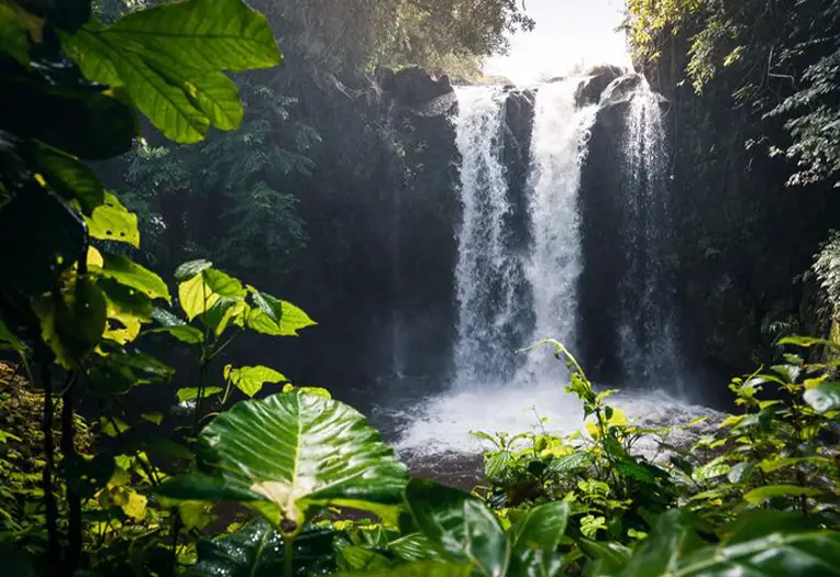 Marangu Waterfalls and Chagga Caves Adventure