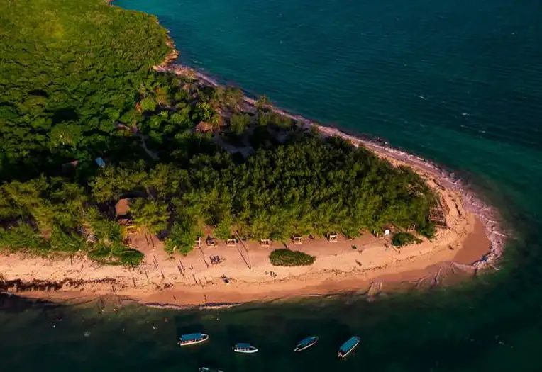 Mbudya Island Escape Pristine Beaches & Coral Gardens