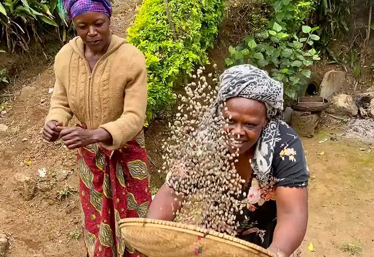 Mulala Cultural Tour