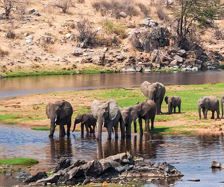 Ruaha National Park