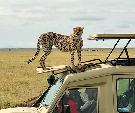Serengeti National Park