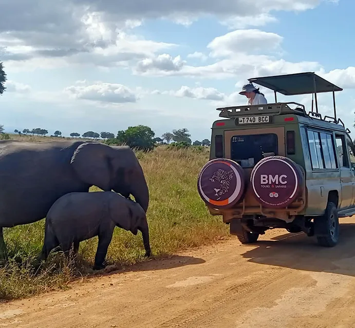 Tarangire National Park