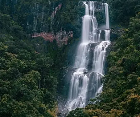 Udzungwa National Park